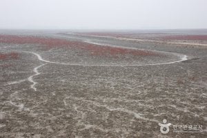 Julpo Ecological Park (줄포자연생태공원)