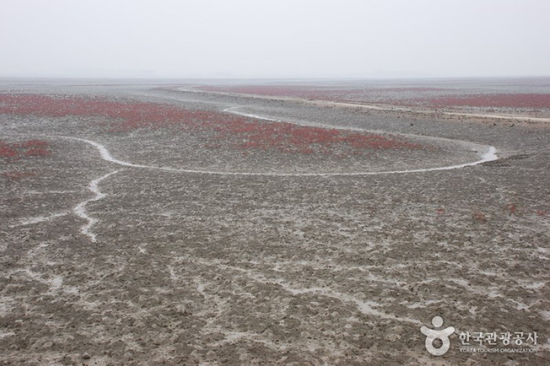 Julpo Ecological Park (줄포자연생태공원) (1/5)