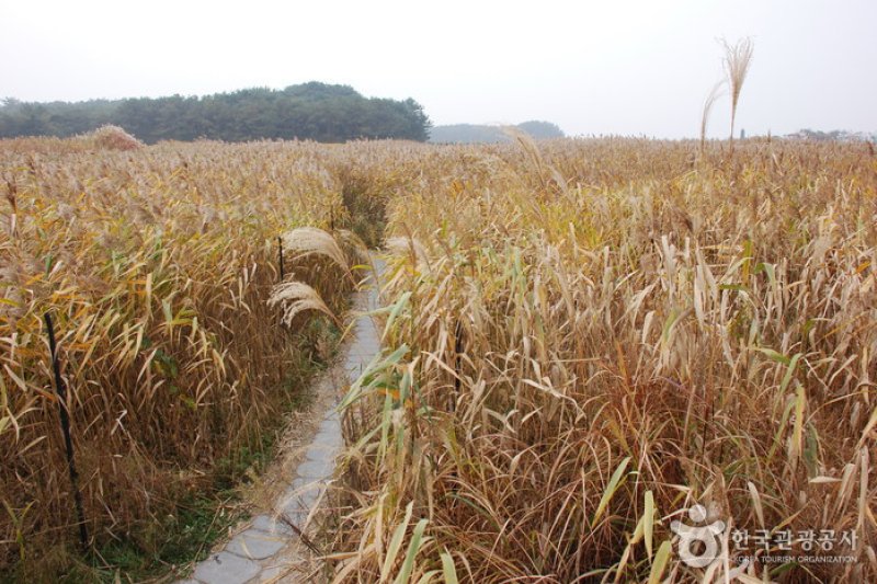 Julpo Ecological Park (줄포자연생태공원) (2/5)