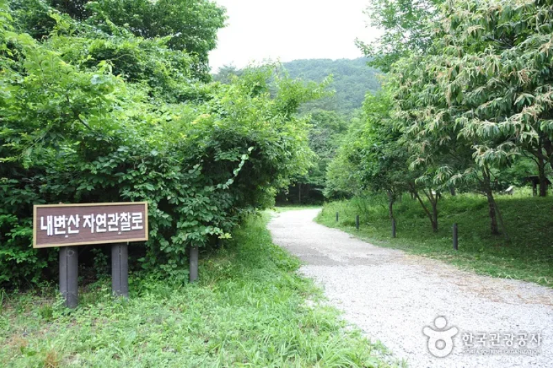Naebyeonsan Mountain (내변산) (4/4)