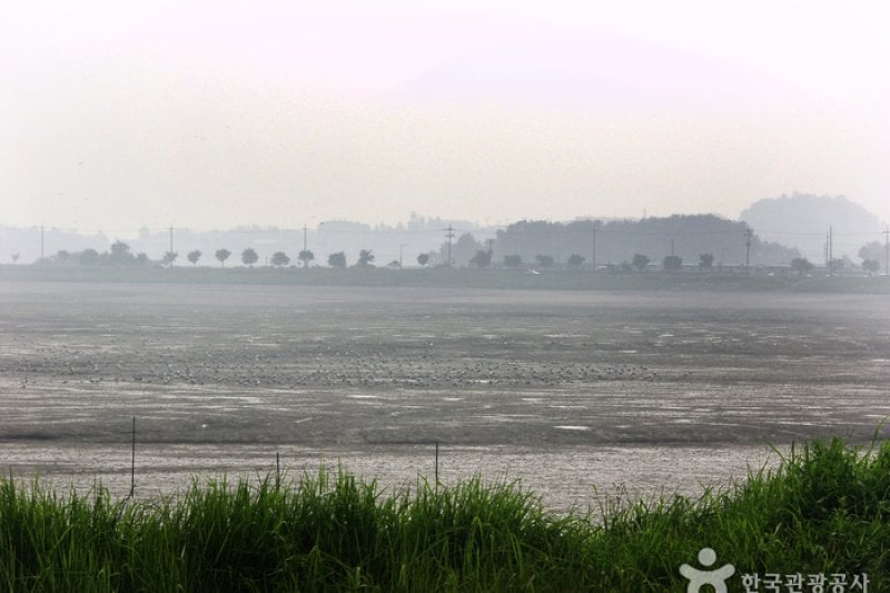 Geumgang Estuary Bank (금강하구둑(군산)) (3/4)