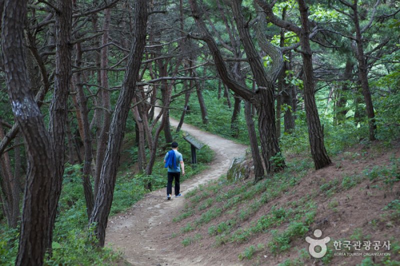 Jeongeup Naejangsan Special Tourist Zone (정읍 내장산 관광특구) (2/7)