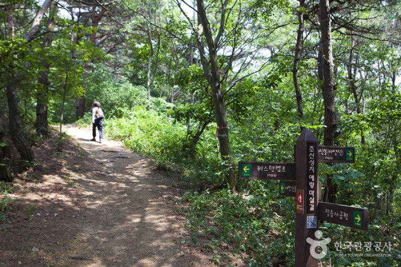 Jeongeup Naejangsan Special Tourist Zone (정읍 내장산 관광특구) (4/7)