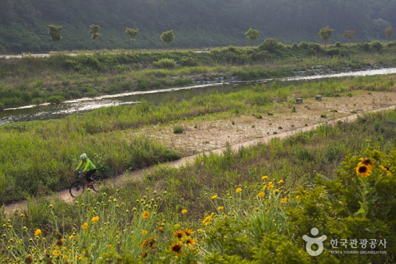 Jeongeup Naejangsan Special Tourist Zone (정읍 내장산 관광특구) (7/7)