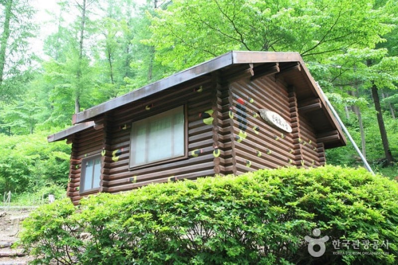Deogyusan Mountain Natural Recreation Forest  (17/19)