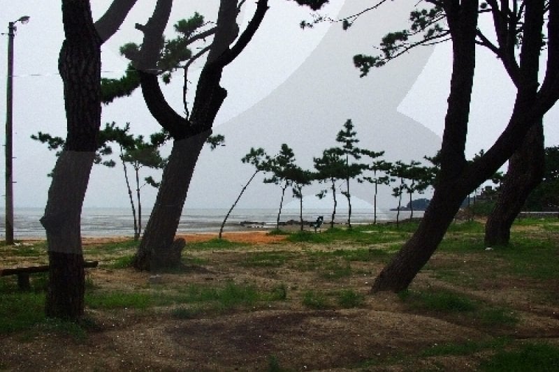 Dongho Beach  (16/16)