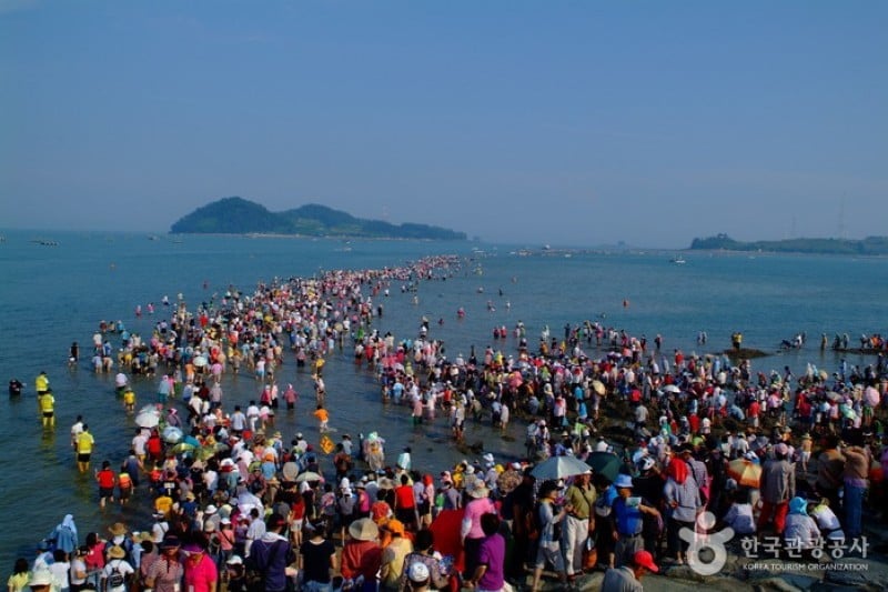 Jindo Mysterious Sea Route  (2/7)
