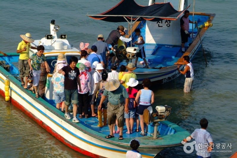 Jindo Mysterious Sea Route  (3/7)