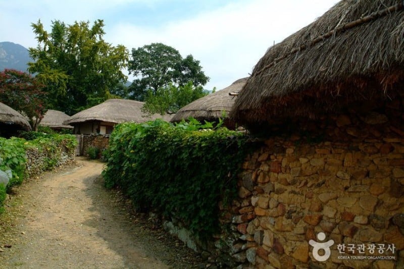 Naganeupseong Folk Village  (8/26)