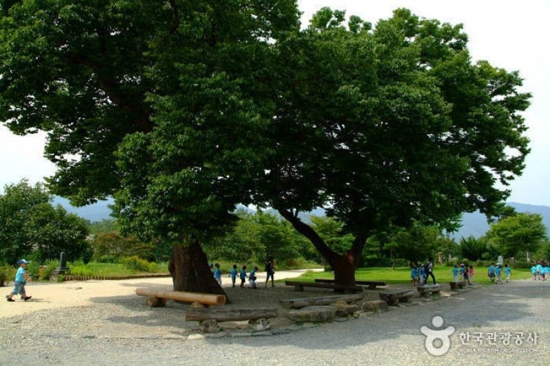 Naganeupseong Folk Village  (15/26)