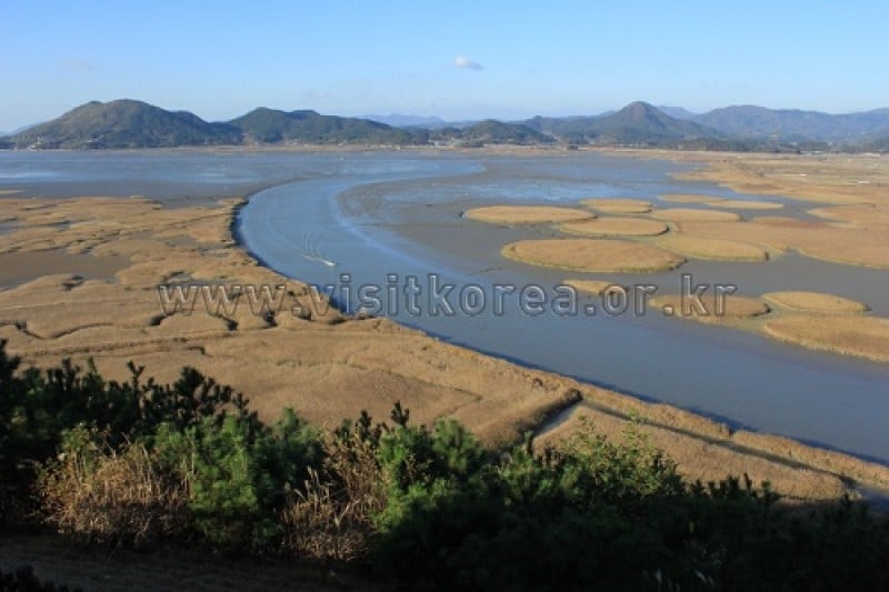 Suncheonman Bay Wetland Reserve  (3/70)