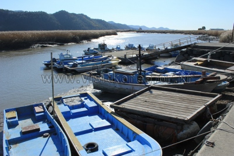 Suncheonman Bay Wetland Reserve  (5/70)