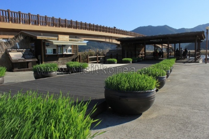 Suncheonman Bay Wetland Reserve  (8/70)