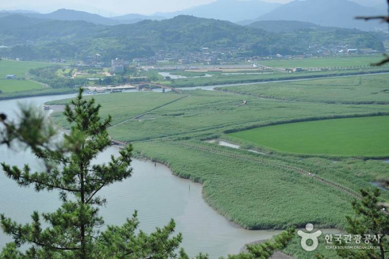 Suncheonman Bay Wetland Reserve  (11/70)