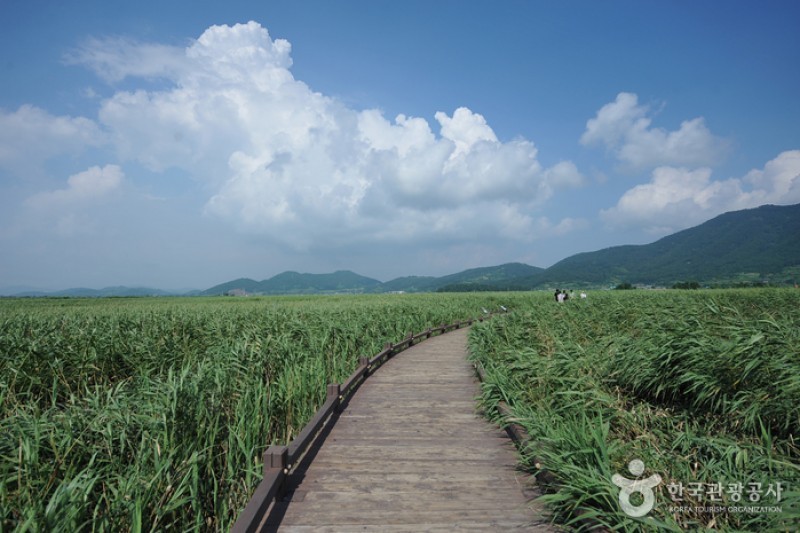 Suncheonman Bay Wetland Reserve  (13/70)
