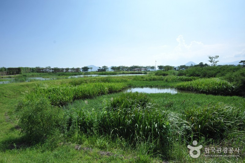 Suncheonman Bay Wetland Reserve  (14/70)