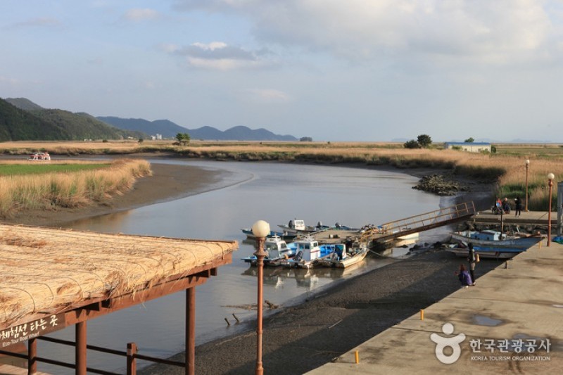 Suncheonman Bay Wetland Reserve  (17/70)
