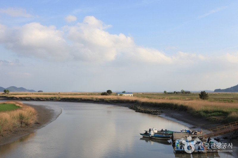 Suncheonman Bay Wetland Reserve  (18/70)