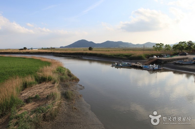 Suncheonman Bay Wetland Reserve  (20/70)