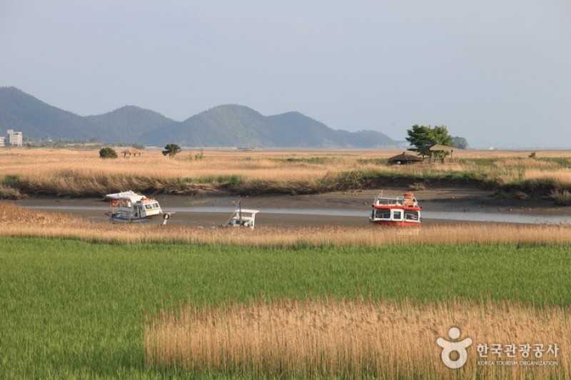 Suncheonman Bay Wetland Reserve  (21/70)