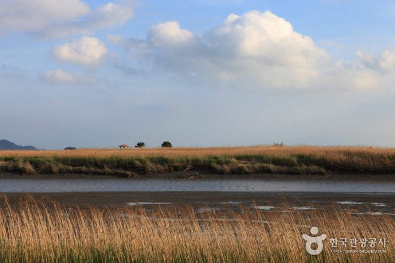 Suncheonman Bay Wetland Reserve  (26/70)