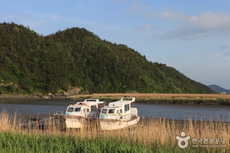 Suncheonman Bay Wetland Reserve  (27/70)