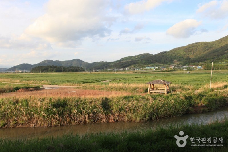Suncheonman Bay Wetland Reserve  (31/70)