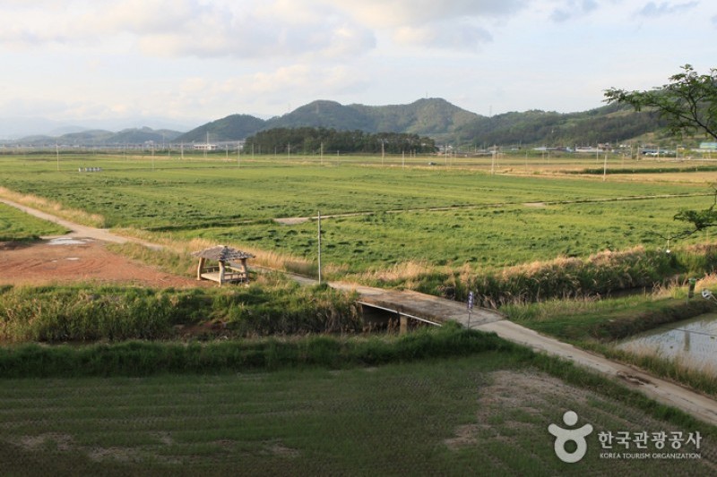 Suncheonman Bay Wetland Reserve  (32/70)