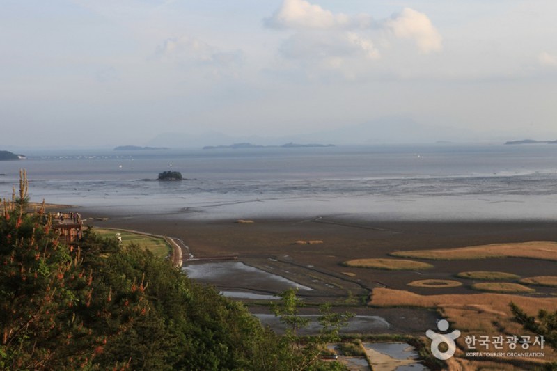 Suncheonman Bay Wetland Reserve  (35/70)