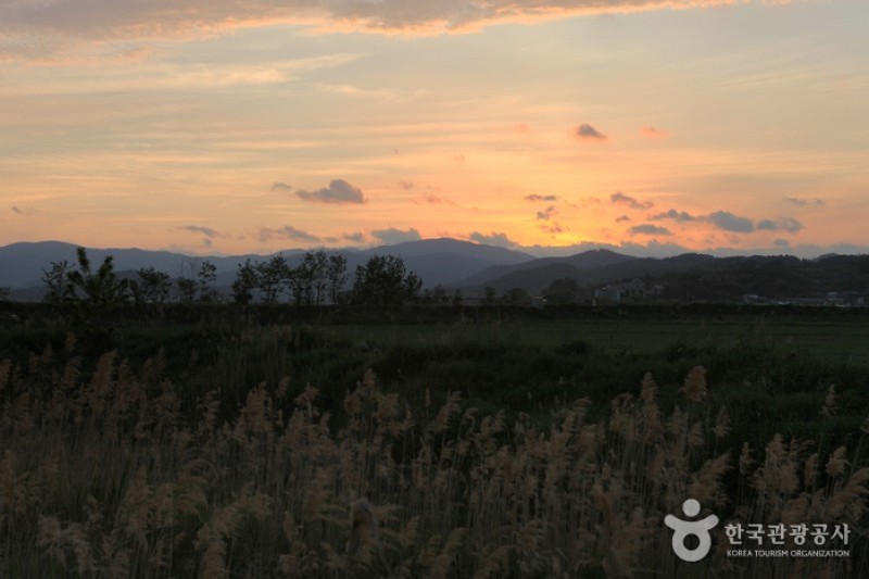 Suncheonman Bay Wetland Reserve  (41/70)