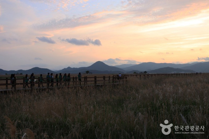 Suncheonman Bay Wetland Reserve  (42/70)