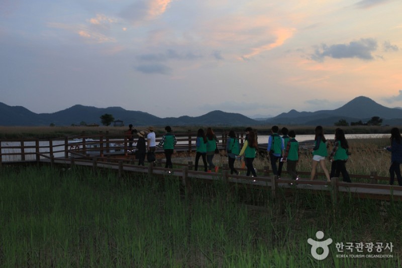 Suncheonman Bay Wetland Reserve  (43/70)