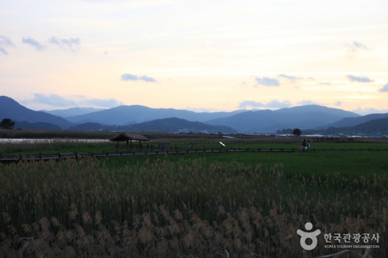 Suncheonman Bay Wetland Reserve  (45/70)
