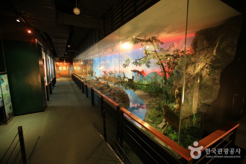 Suncheonman Bay Wetland Reserve  (57/70)