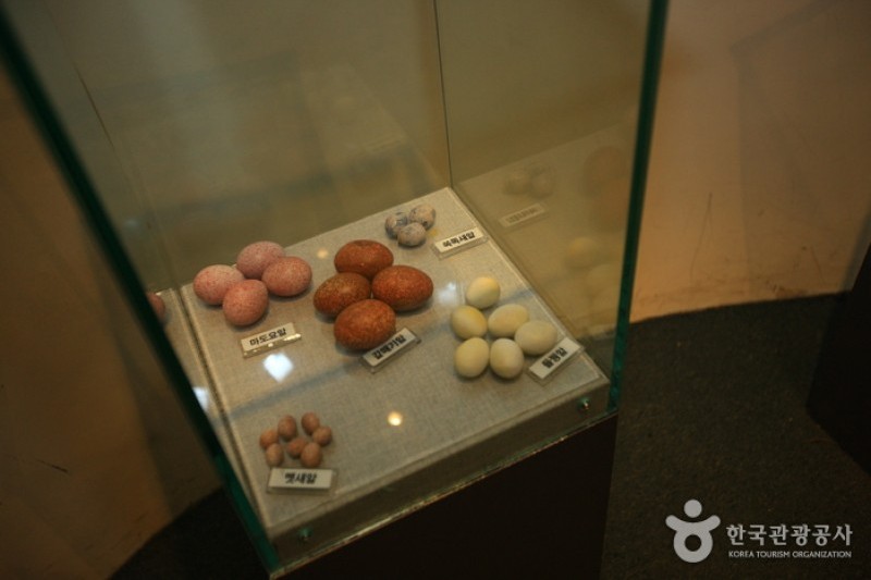 Suncheonman Bay Wetland Reserve  (61/70)