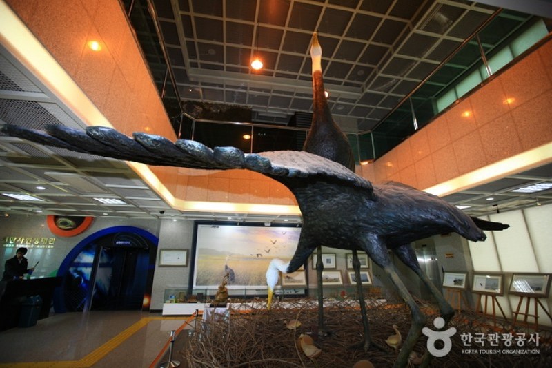 Suncheonman Bay Wetland Reserve  (63/70)