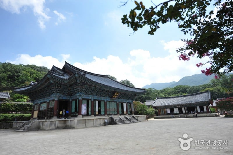 Songgwangsa Temple  (5/6)