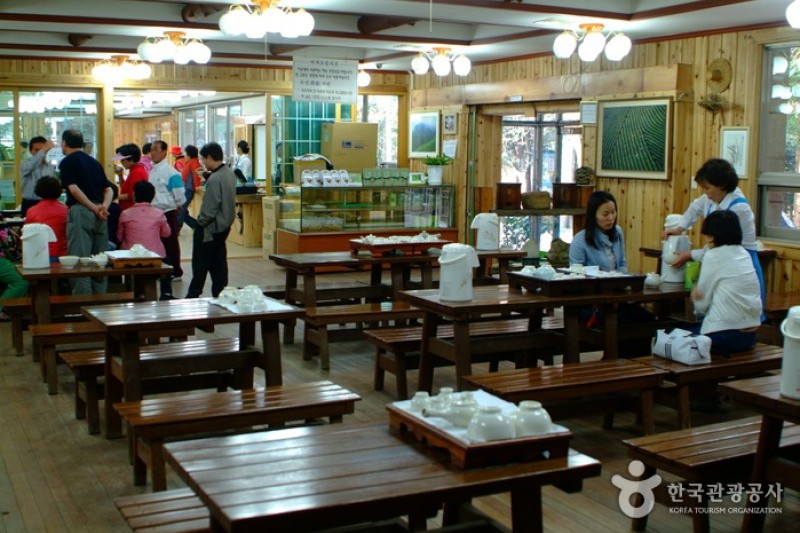 Daehan Dawon Tourist Tea Plantation  (4/7)