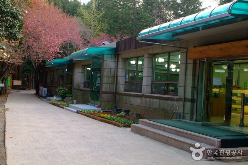 Daehan Dawon Tourist Tea Plantation  (7/7)