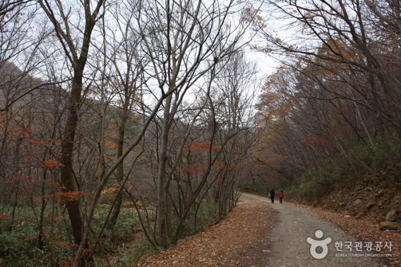 Seonamsa Temple - Suncheon  (12/21)