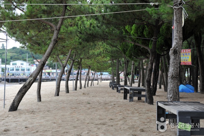 Yulpo Beach and Seawater Pool  (2/11)
