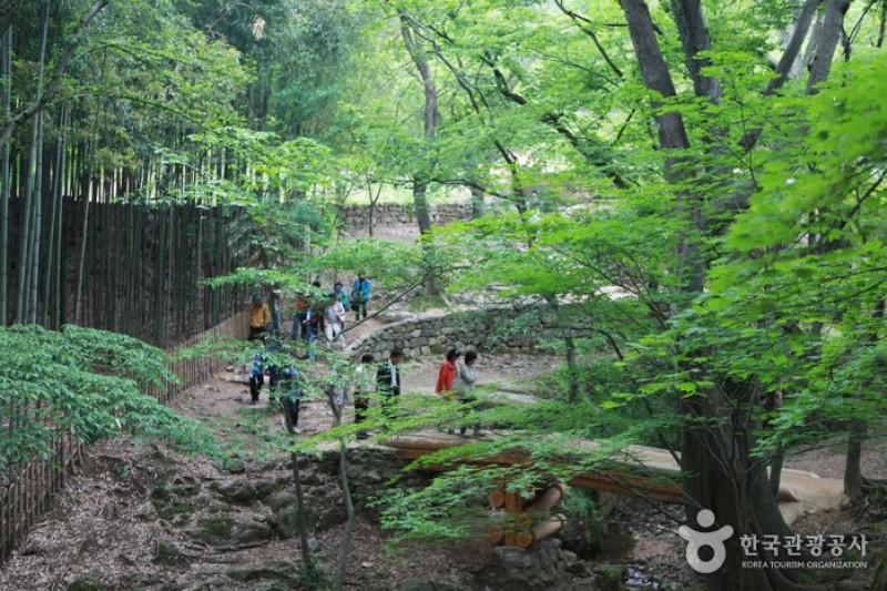 Soswaewon Garden  (2/19)