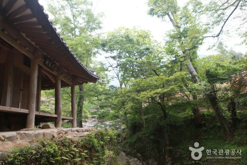 Soswaewon Garden  (5/19)