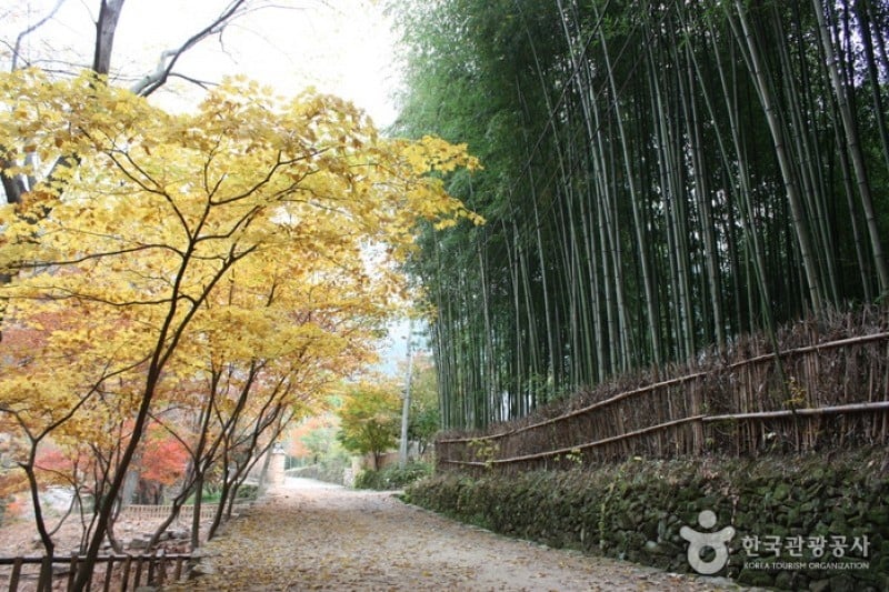 Soswaewon Garden  (7/19)