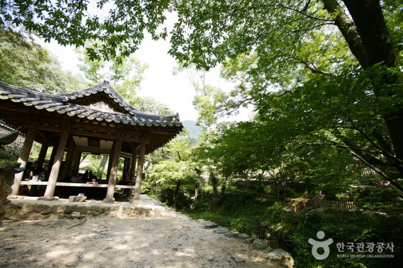 Soswaewon Garden  (15/19)