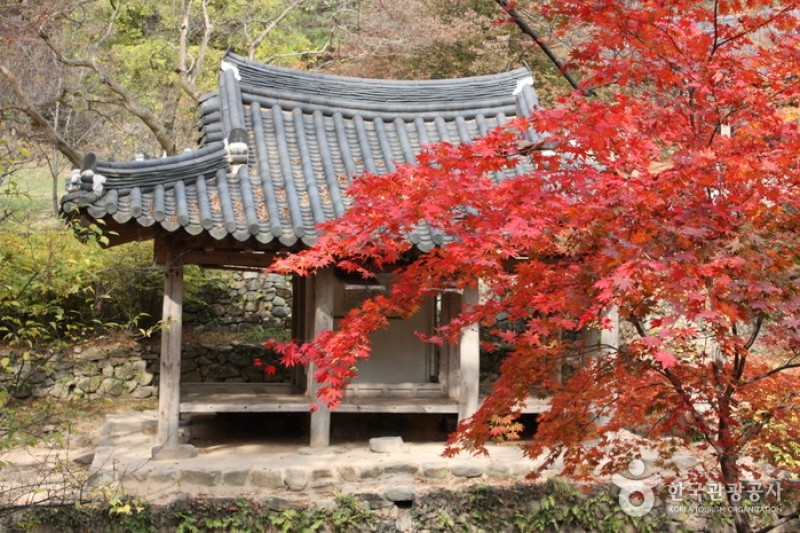 Soswaewon Garden  (16/19)