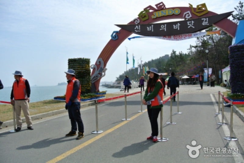Jindo Miracle Sea Road Festival 