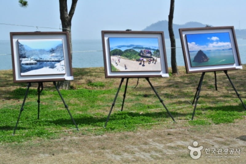 Jindo Miracle Sea Road Festival 