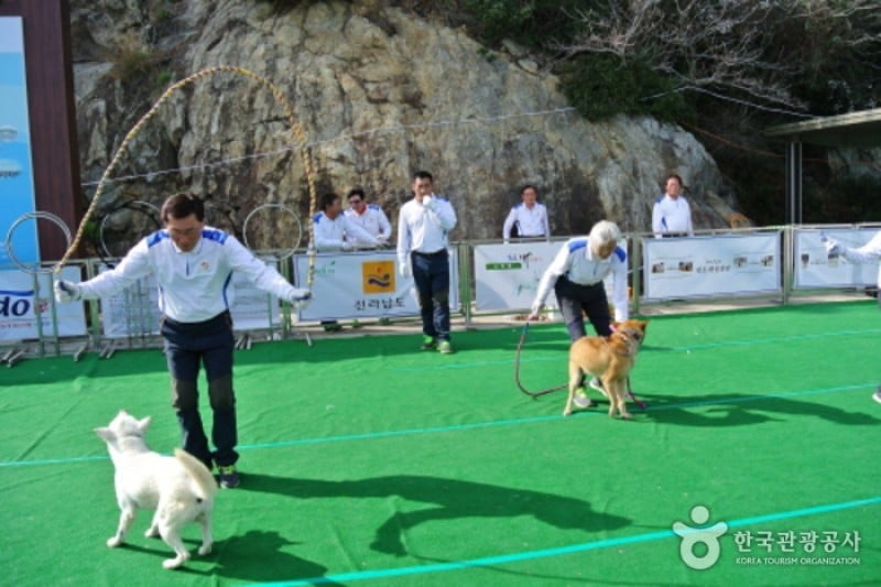 Jindo Miracle Sea Road Festival 