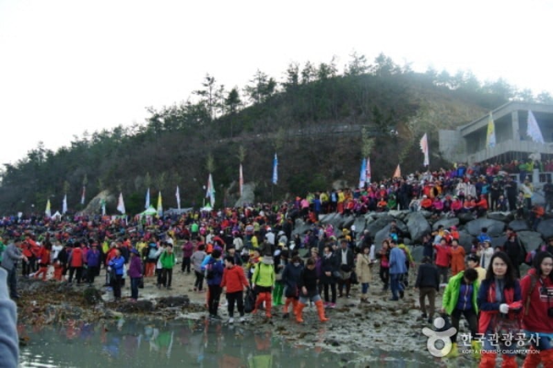 Jindo Miracle Sea Road Festival 
